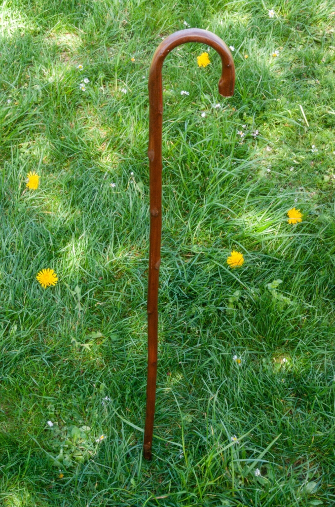 Bild 1 von Wanderstock / Gehstock für Kinder und Erwachsene  / (Länge) 70 - 75 cm