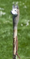 Bild 3 von Wolf / Hund Wanderstock für Erwachsene / Geschnitzte Unikate mit Stockspitze