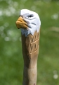 Bild 1 von Adler Wanderstock für Erwachsene / Geschnitzte Unikate mit Stockspitze